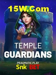 Tennis Betting Snk Bet