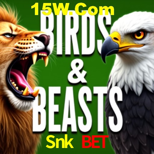 Bônus Diários Snk Bet