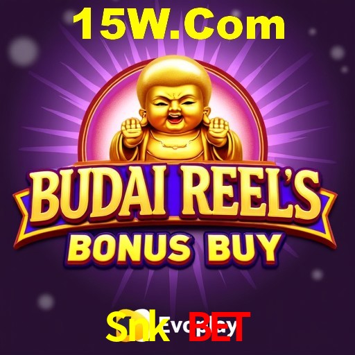 Recursos de Bônus Snk Bet