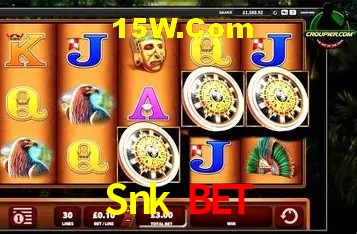 Explorando a Categoria de Eventos em Apostas na Snk Bet